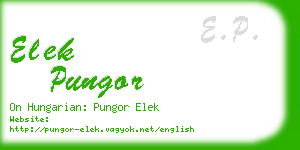 elek pungor business card